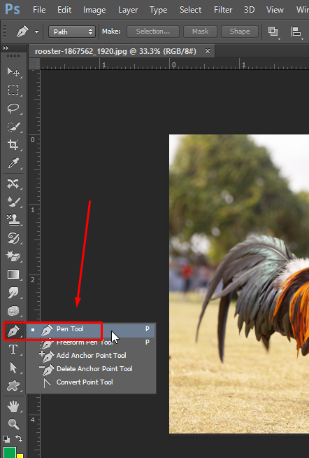 Cách cắt ảnh trong Photoshop - pen tool