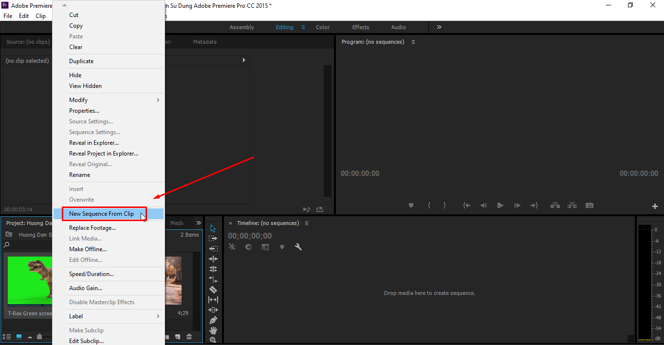 Cách key phông xanh trong Premiere - tạo sequence từ video phông xanh